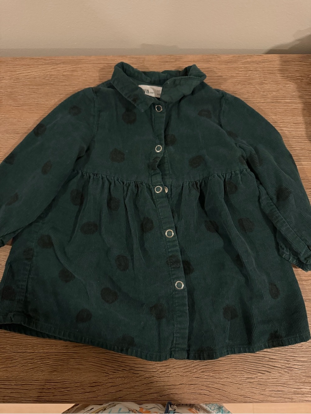 Zara Polka Dot Dress